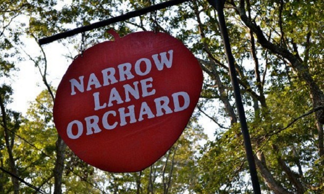 narrow lane
